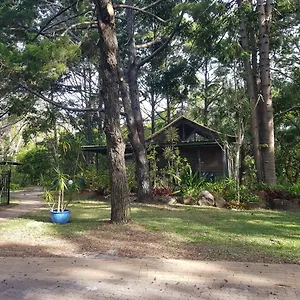Rainforest Resort