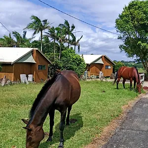 Farm stay Farm